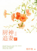 厨神追妻记封面