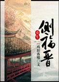 重生侧福晋封面