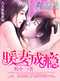 暖妻成瘾封面