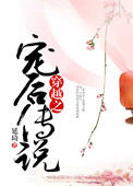 穿越之宠后传说封面