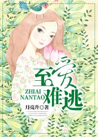 至爱难逃封面