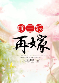 顾三娘再嫁封面