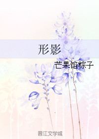 形影封面