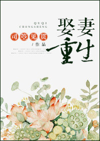 娶妻重生封面