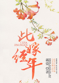 此嫁经年封面