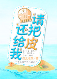 请把皮还给我封面