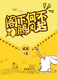 阁下何不腾飞起封面