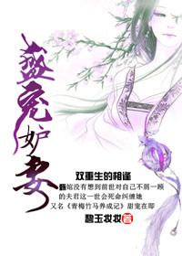 盛宠妒妻封面