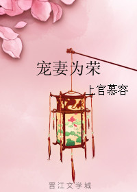 宠妻为荣封面