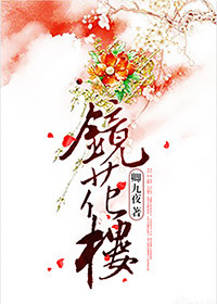 镜花楼封面