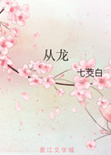 从龙封面