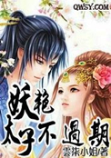 妖艳太子不过期封面