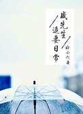 盛先生追妻日常封面
