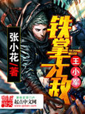 铁掌无敌王小军封面