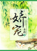 娇宠(重生)封面