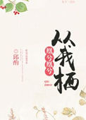 凰兮凰兮从我栖封面
