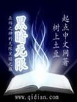 黑暗无限封面