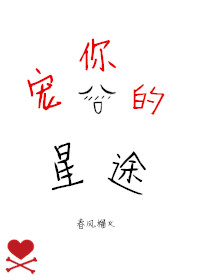 宠你的星途封面