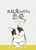 我从来没有谈过恋爱（重生）封面