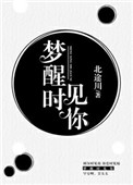 梦醒时见你封面