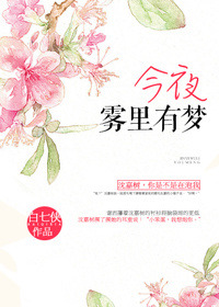 今夜雾里有梦封面