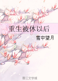 重生被休以后封面
