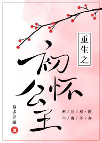重生之初怀公主封面