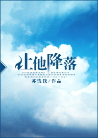 让他降落封面