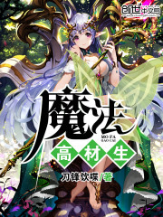 魔法高材生封面