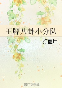 王牌八卦小分队封面