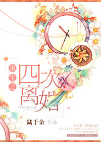 重生之四次离婚封面