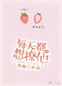 每天都想撩他封面