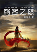 刺客之怒封面