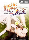 婚恋迷途封面