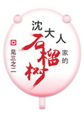 沈大人家的石榴树（重生）封面