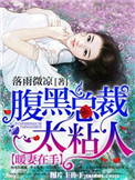 暖妻在手：腹黑总裁太粘人封面