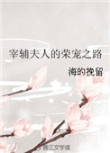 宰辅夫人的荣宠之路封面
