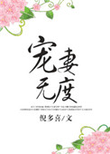宠妻无度封面
