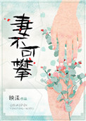 妻不可攀封面