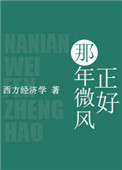那年微风正好封面