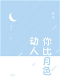 你比月色动人封面