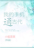 我的手机通古代封面
