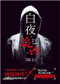 白夜追凶封面