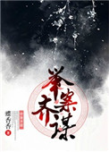 举案齐谋封面