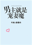 男主就是宠妻魔封面
