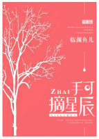 手可摘星辰封面