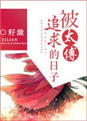 被太傅追求的日子封面