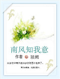 南风知我意封面