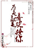为夫就是喜欢撩你封面