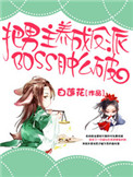 把男主养成了反派boss肿么破封面